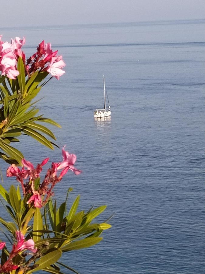 Las Palmeras Almuñécar Esterno foto